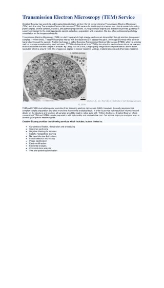 Fibroblast cells