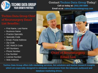 Chief of Neurosurgery Email List | Neurosurgery Lists
