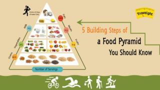 5 Building Steps Of A Food Pyramid You Should Know