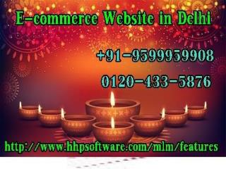 How would E-commerce Website in Delhi work 0120-433-5876