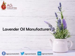 Lavender Oil Manufacturers