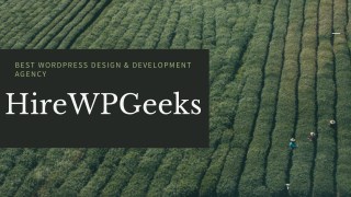 Wordpress design and development services