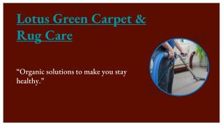 Carpet Cleaning DC | Lotus Green Carpet & Rug Care