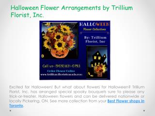 Halloween Flower Arrangements by Trillium Florist Inc | Best Flower Shops in Toronto