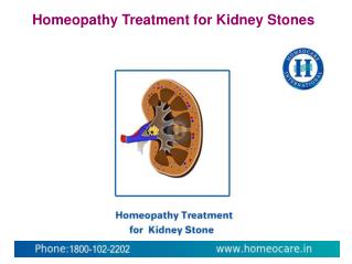 Homeopathy Treatment For Kidney Stones