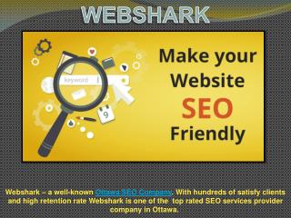 Get More Website Traffic, Avail SEO services in Ottawa – WEBSHARK