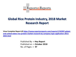 Global Rice Protein Market 2018 Recent Development and Future Forecast