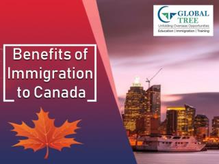 Canada Immigration Consultants | Benefits of Immigration to Canada