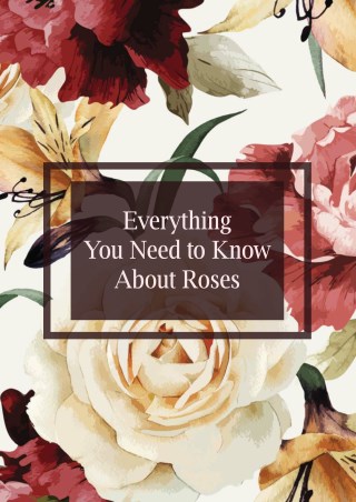 Rose Care Guide 2018