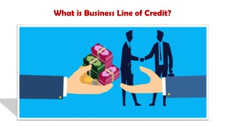 What is Business Line of Credit?