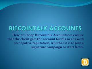 Bitcointalk Accounts