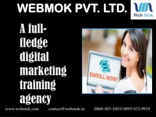 Digital Marketing Training In Delhi