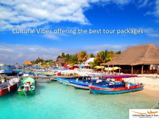 Cultural Vibes offering the best tour packages