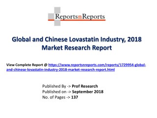 Global Lovastatin Industry with a focus on the Chinese Market