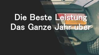 Die Beste Leistung Das Ganze Jahr Über