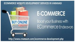 Professional ECommerce Web Design Company in Varanasi