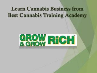 Learn Cannabis Business from Best Cannabis Training Academy