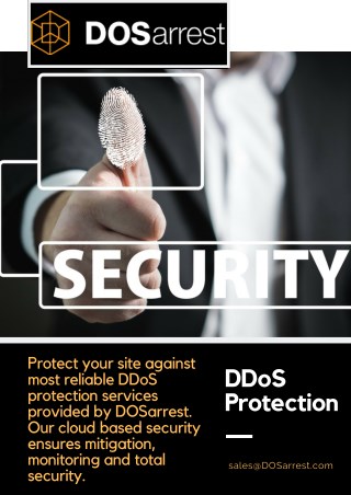 DDoS Protection