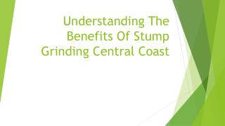 Understanding The Benefits Of Stump Grinding Central Coast