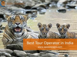 Best Tour Operator in India - Apex Voyages