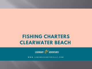 Fishing charters clearwater beach