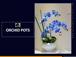 Beautiful Orchid Pots – Shop Online