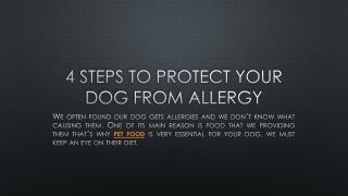 4 STEPS TO PROTECT YOUR Dog from allergy