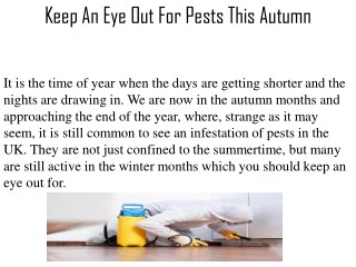 Keep An Eye Out For Pests This Autumn
