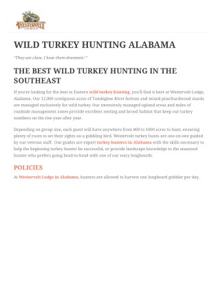 Wild Turkey Hunting In Alabama