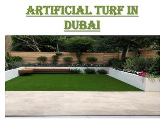 Turf in Abu Dhabi