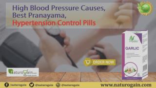 High Blood Pressure Causes Best Pranayama, Hypertension Control Pills