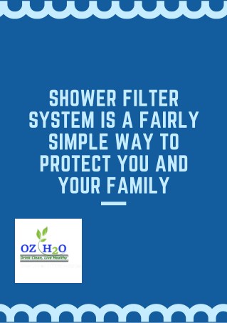 Shower Filter System is a Simple Way To Protect You and Your Family
