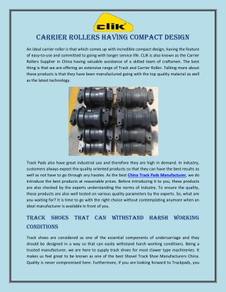 Carrier Rollers having Compact Design