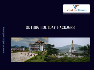 Book Odisha Holiday Packages at Visakhatravels.com
