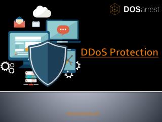 DDoS Protection