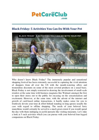 Black Friday - 5 Activities You Can Do With Your Pet