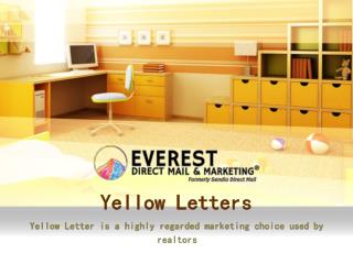 Yellow Letters / Everestdmm