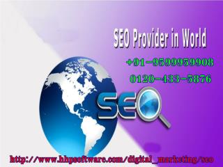 Facts about an Seo Company in Noida 0120-433-5876