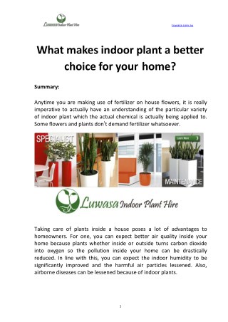 What makes indoor plant a better choice for your home?