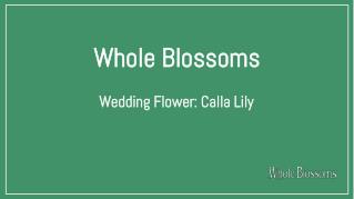 Wedding Flower: Create unique decorations by fascinating calla lilies