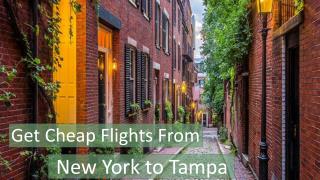 Find Cheap Flights From New York JFK to Fort Lauderdale FLL