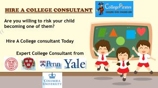 Hire a college consultant