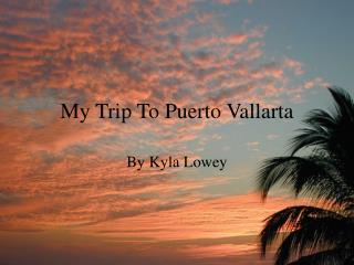 My Trip To Puerto Vallarta