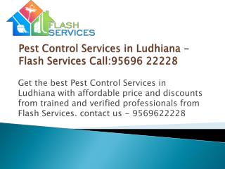 Pest Control Services in Ludhiana - Flash Services Call:95696 22228