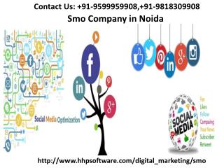 Team involved in Seo Company in Noida 0120-433-5876