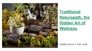 Traditional Naturopath, the Hidden Art of Wellness