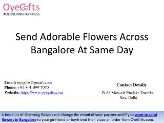 Send Adorable Flowers Across Bangalore At Same Day