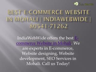 Best E-commerce Website in Mohali | IndiaWebWide | 8054171262