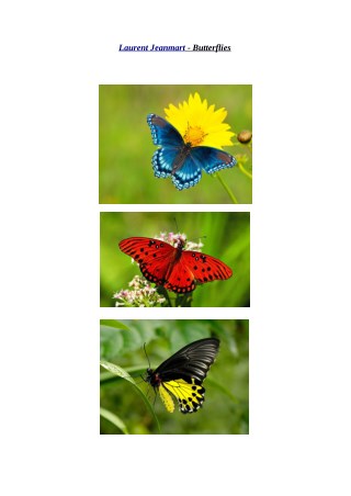 Laurent Jeanmart | Butterflies