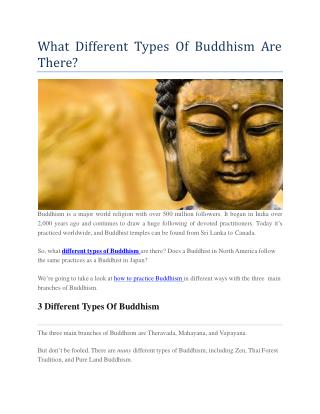 typesofbuddhism Online Presentations Channel